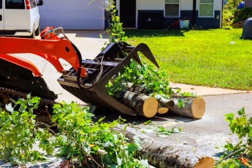 Debris Removal & Site Cleanup